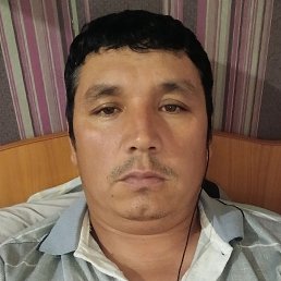 , 40, 