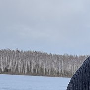 , 43 , 
