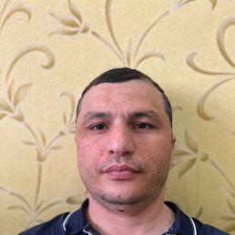 , 40, 