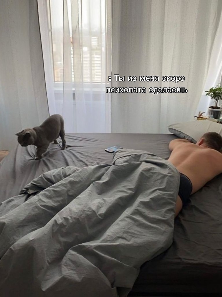 �������. - 4 ������ 2026 � 21:17