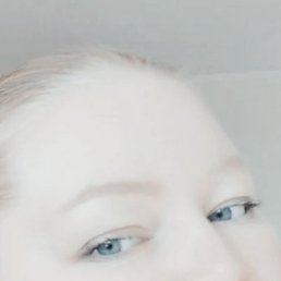 ���� �����, ������, 43 ���� - ��������� 7 ������ 2026