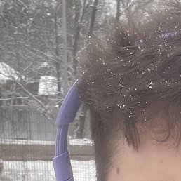 �����, ��������, 20 ���