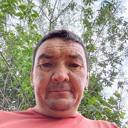 , 44 , 