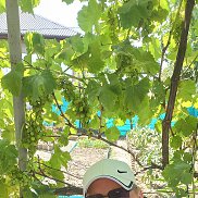 �������, 47 ���, ������