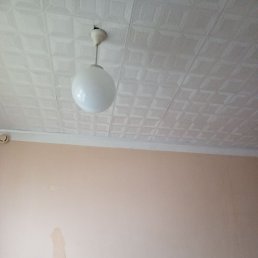 ���� ���, ������, 41 ��� - ��������� 25 ����� 2024