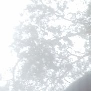 ������, 39 ���, ������