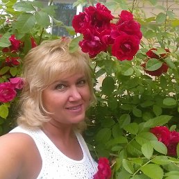 , 52, -