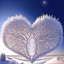 ���� ����, �����-���������, 41 ��� - ��������� 16 ������ 2024 � ������ ���� ����������