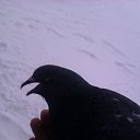 ���� ���������, ������, 42 ���� - ��������� 25 ���� 2024 � ������ ������ ��������