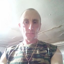 , 41, 
