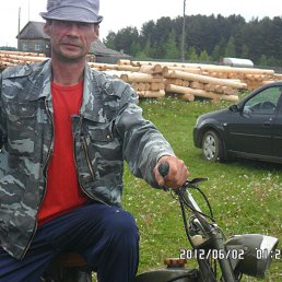 , 61,  
