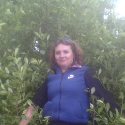 , 41, 
