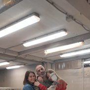 �����, 47 ���, ������