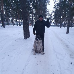 ����, ���������, 50 ���