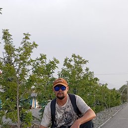 , 33, 
