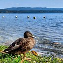 ���� �����, �����, 38 ��� - ��������� 5 ������� 2025 � ������ ���� ����������