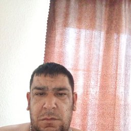 , 43, 