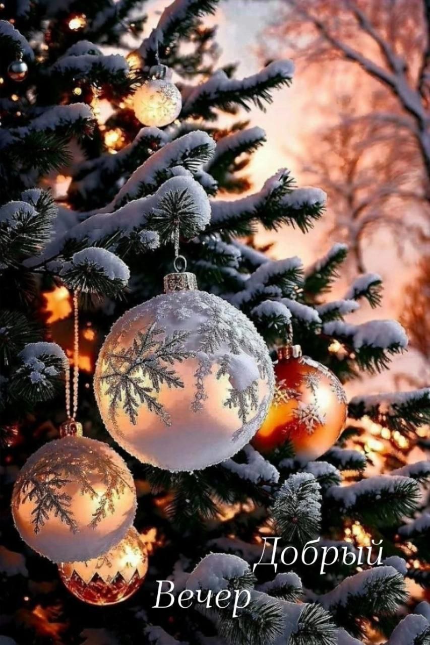 ������ - 12 ������� 2025 � 20:16 - 2