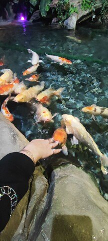 ���� ���� � ������, ����, 43 ���� - ��������� 5 ������ 2024