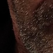 , 56 , 