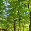 ���� �����, ����� - ��������� 20 ������� 2024 � ������ ���� ����������