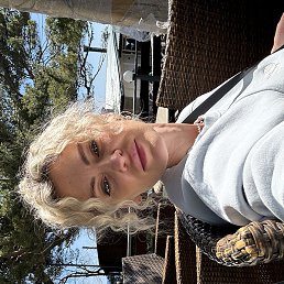 �����, ������, 42 ����