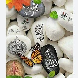 ���� �����, ��������, 66 ��� - ��������� 21 ������� 2023