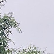 �������, 62 ����, ������