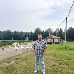 ������� ��������, 56 ���, �����