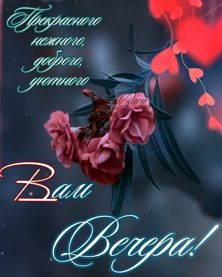   ,    . - 10  2025  20:19 - 4