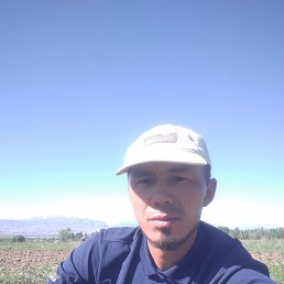 , 33, 
