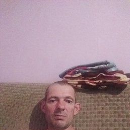 , 40, 