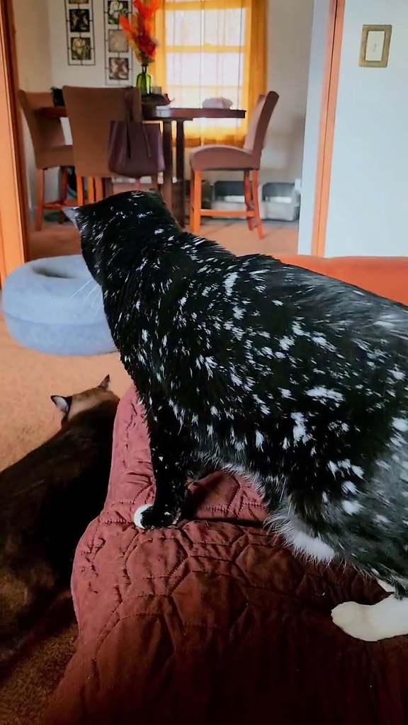 ������ ����������� �����! ��� ����� ������� ����������)