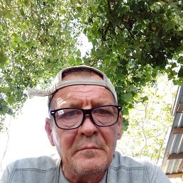 , 53, 