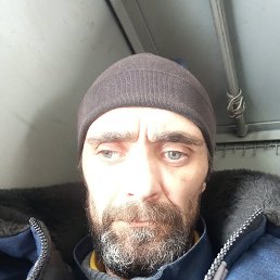 �������, 41 ���, ������