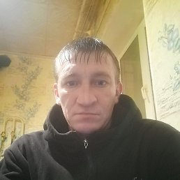 �������, 40 ���, �����