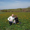 ���� �������, ������, 37 ��� - ��������� 30 ���� 2026 � ������ ���� ����������