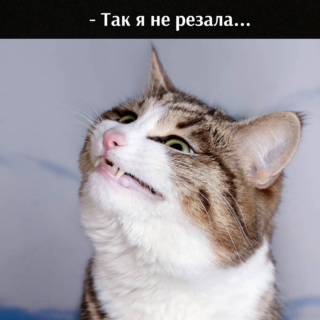       - 1  2025  12:58 - 4