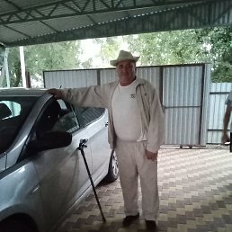 , 53, 