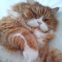 ���� ������ - ���� ..., ������ - ��������� 6 ������� 2025 � ������ ������ ��������