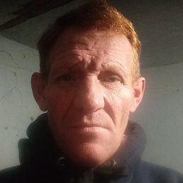 ��������, ���������, 49 ���