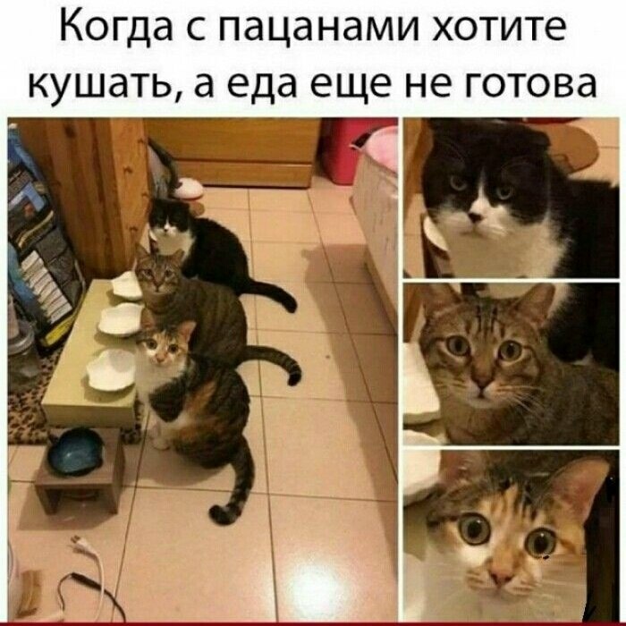 ��� ���� � ����� �� �� - 5 ���� 2026 � 18:02