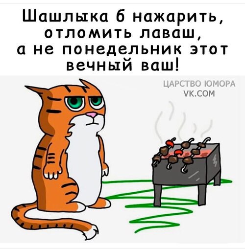   ! - 19  2025  19:25