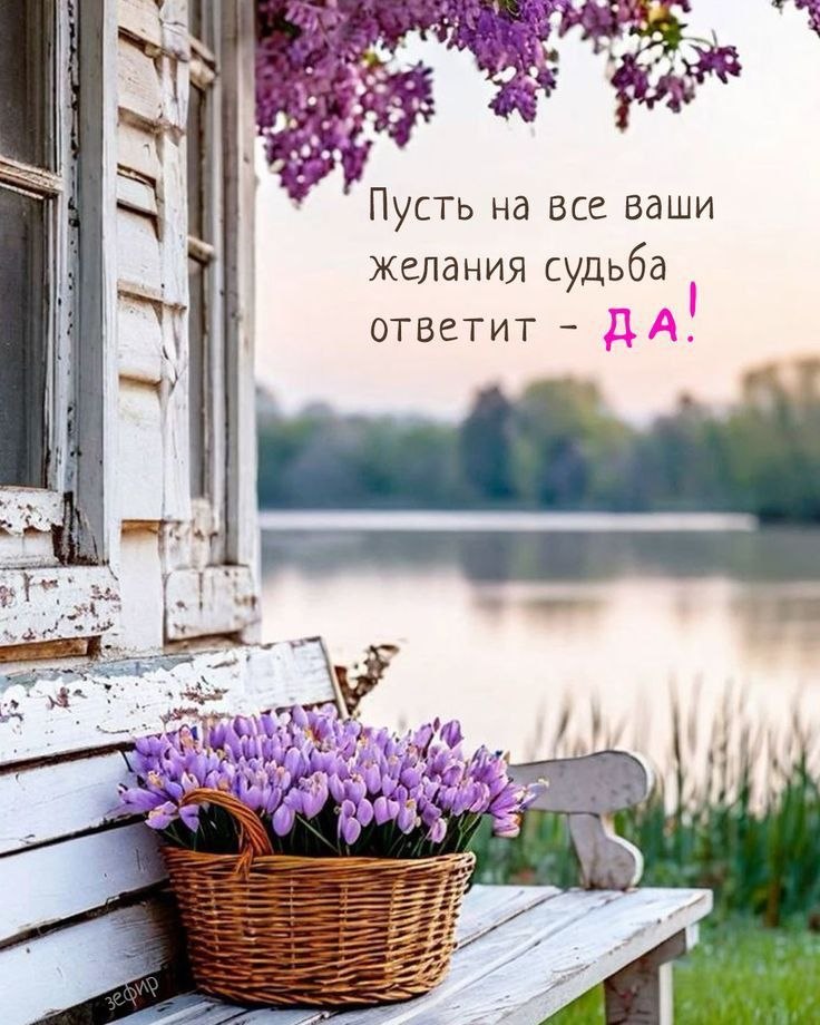   - 14  2025  15:13