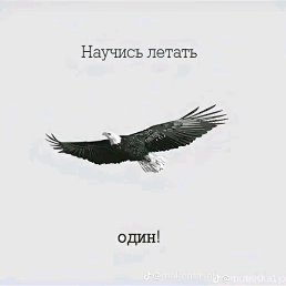 Tom Kru, ���������, 35 ���