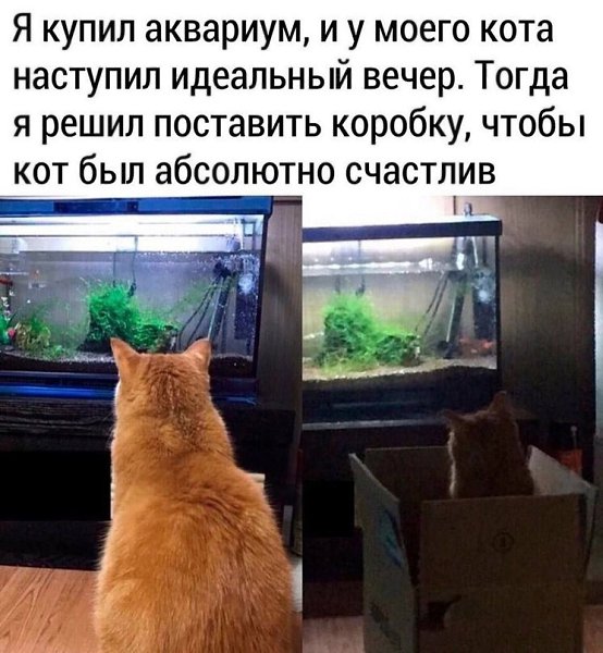   - 22  2024  14:15