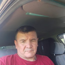 ���� ����, �������, 41 ��� - ��������� 21 ���� 2026
