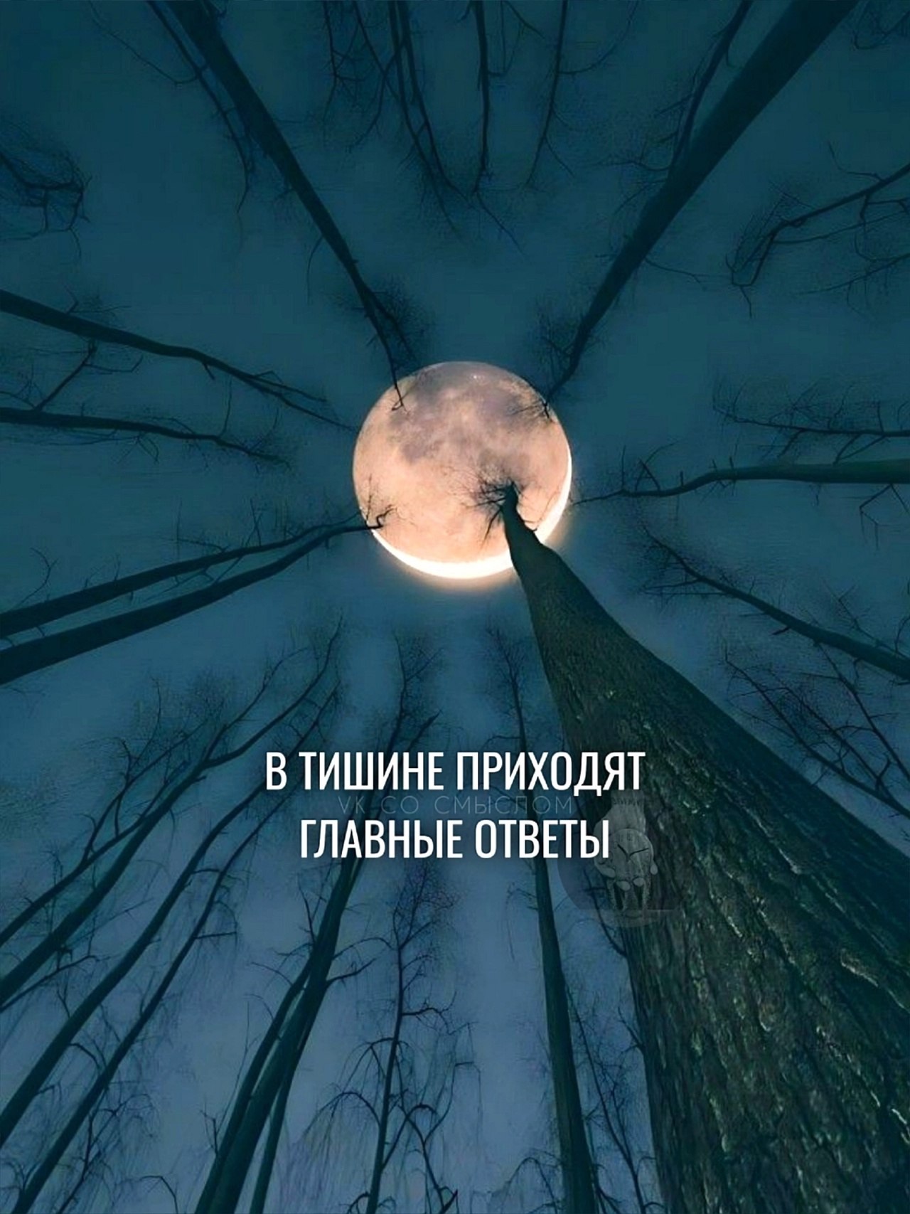  - 26  2025  12:10