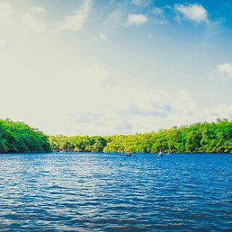 �������, ������, 41 ���