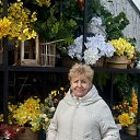 ���� ������, ����, 68 ��� - ��������� 29 ����� 2025 � ������ ���� ����������